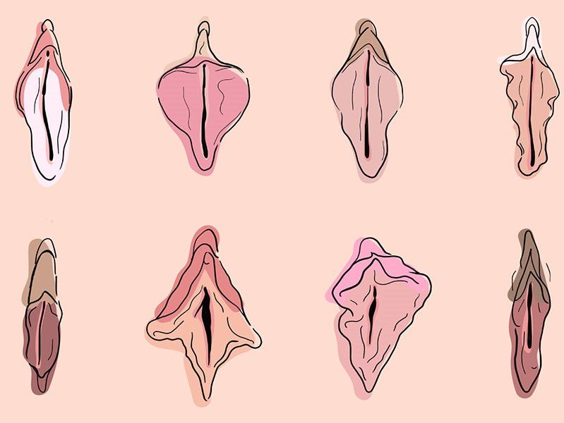 Große innere Vulvalippen? Völlig normal!