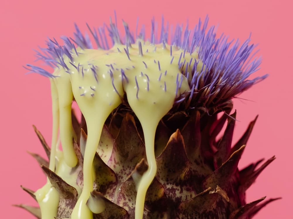 Wie wirkt sich die Einnahme der Pille auf meinen Ausfluss aus?