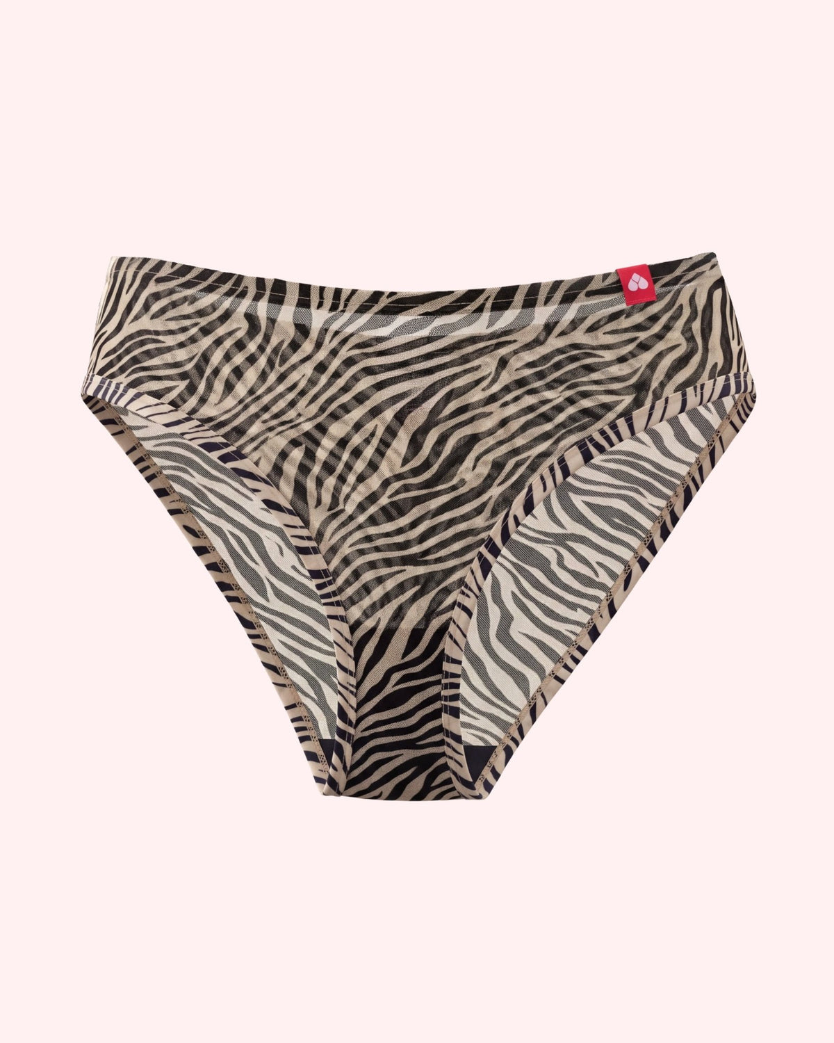 Slip – Mesh Unterwäsche