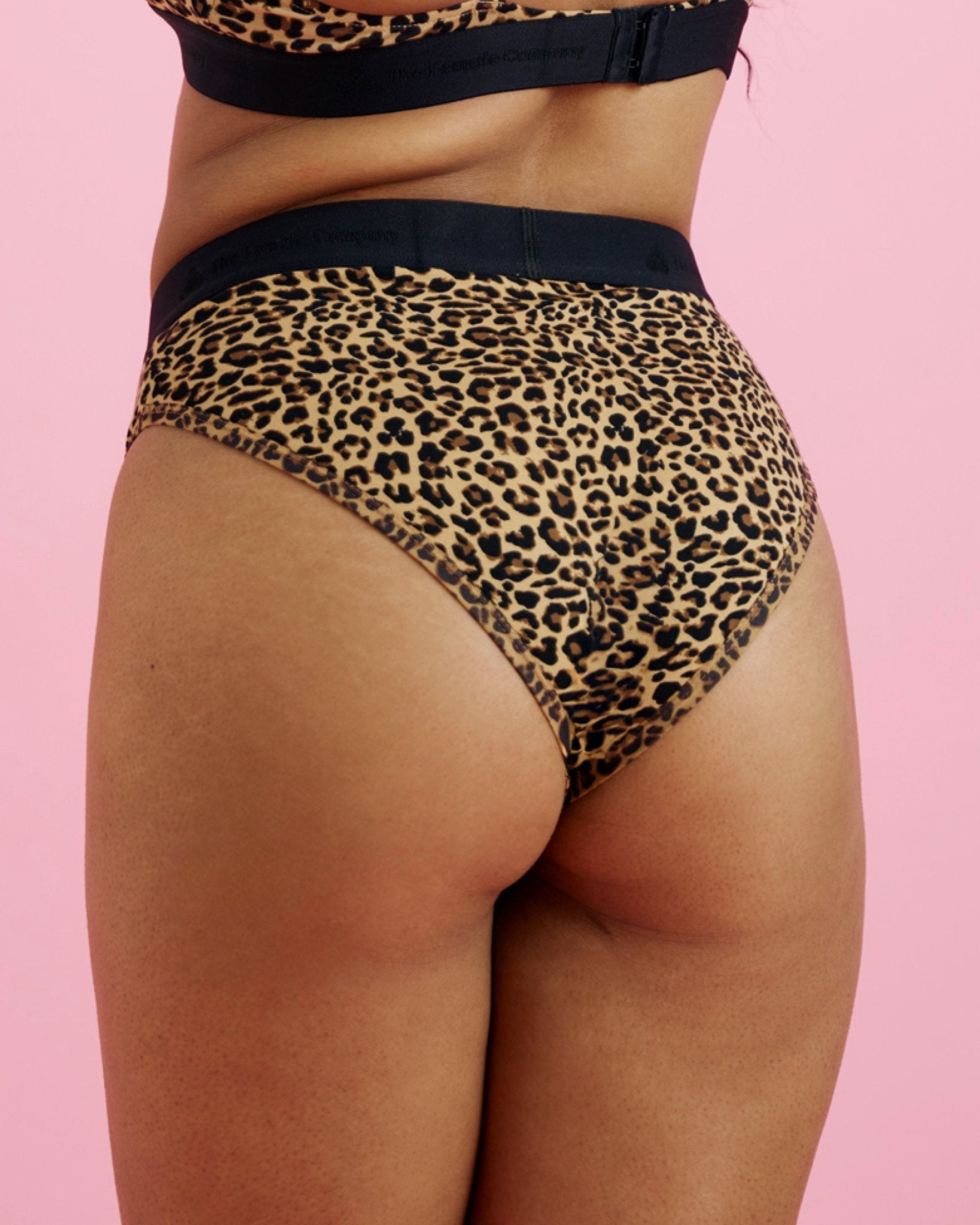 Underwear - Basic Brief