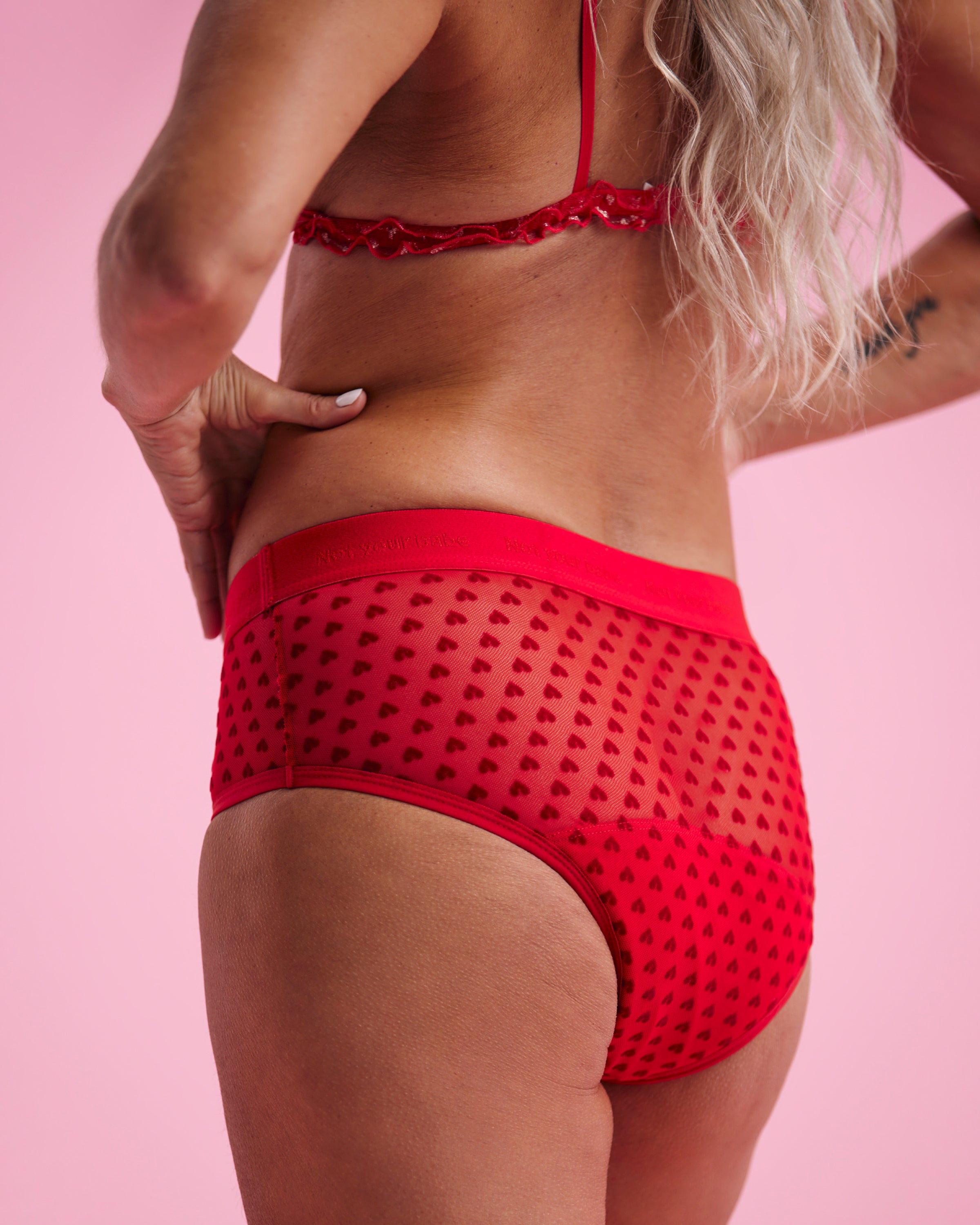 Period Panty Hipster period underwear red mesh modal shop online